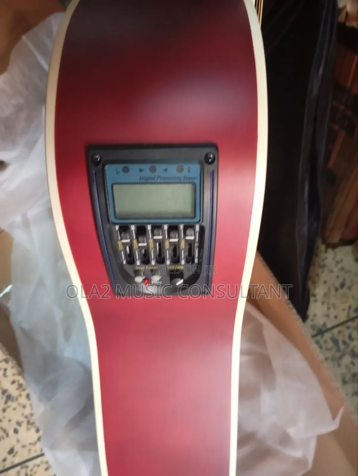 Semi Acoustic Guitar