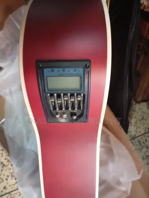 Semi Acoustic Guitar