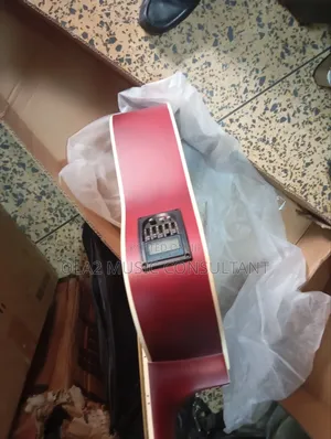 Semi Acoustic Guitar