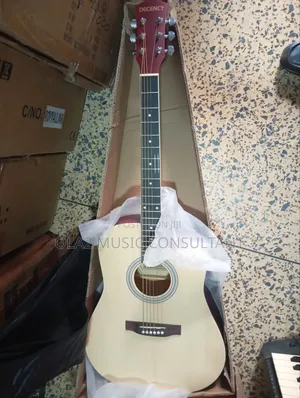 Semi Acoustic Guitar