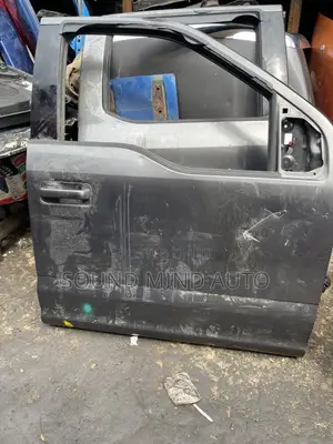 Ford F-150 2016-2018 Front Door