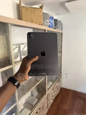 Apple iPad Pro 11 (2024) 256 GB Black