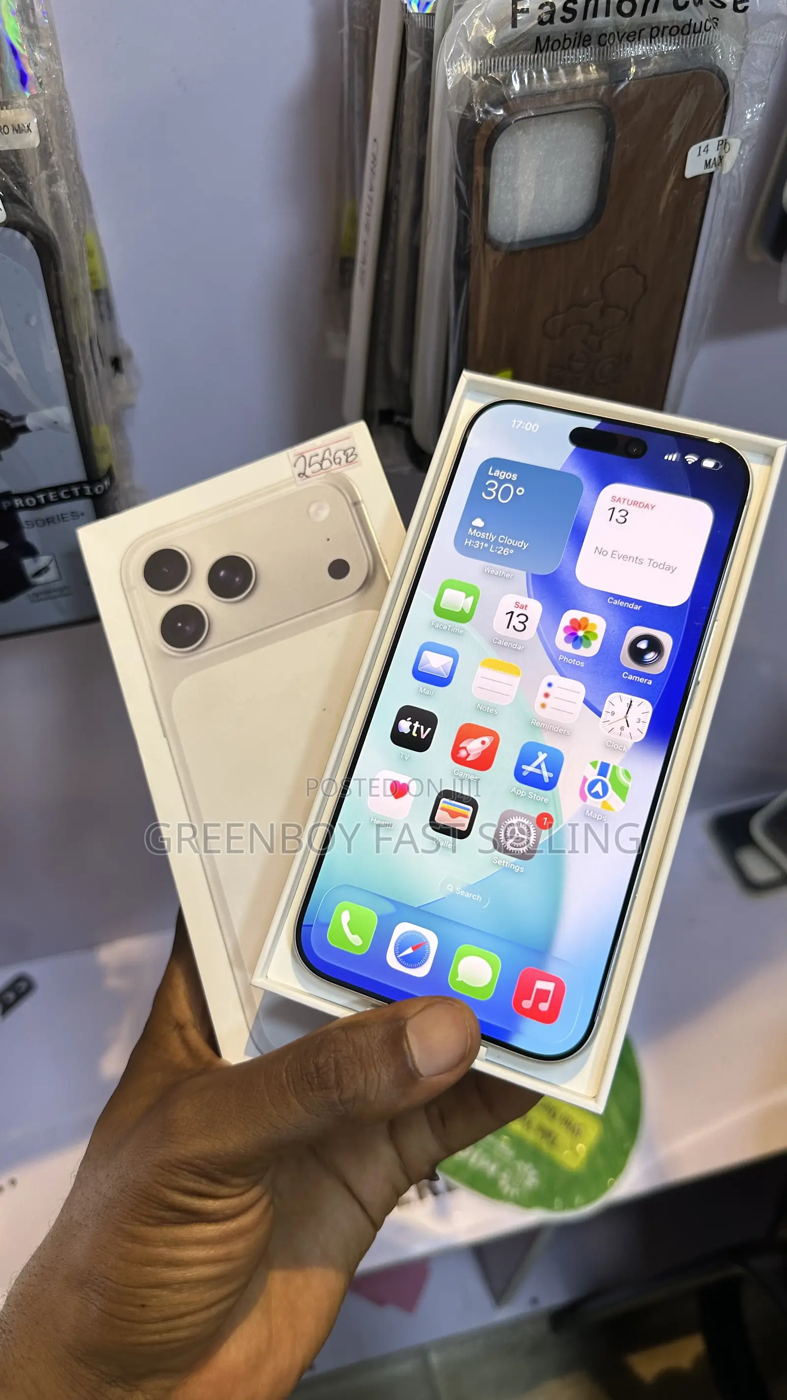 Apple iPhone 17 Pro Max 256 GB Gray