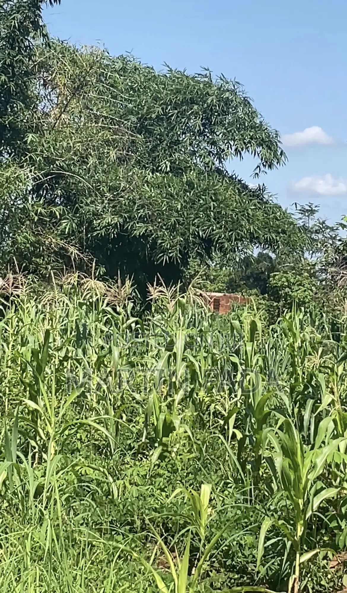 Land for Sell