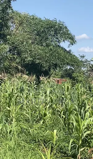 Land for Sell