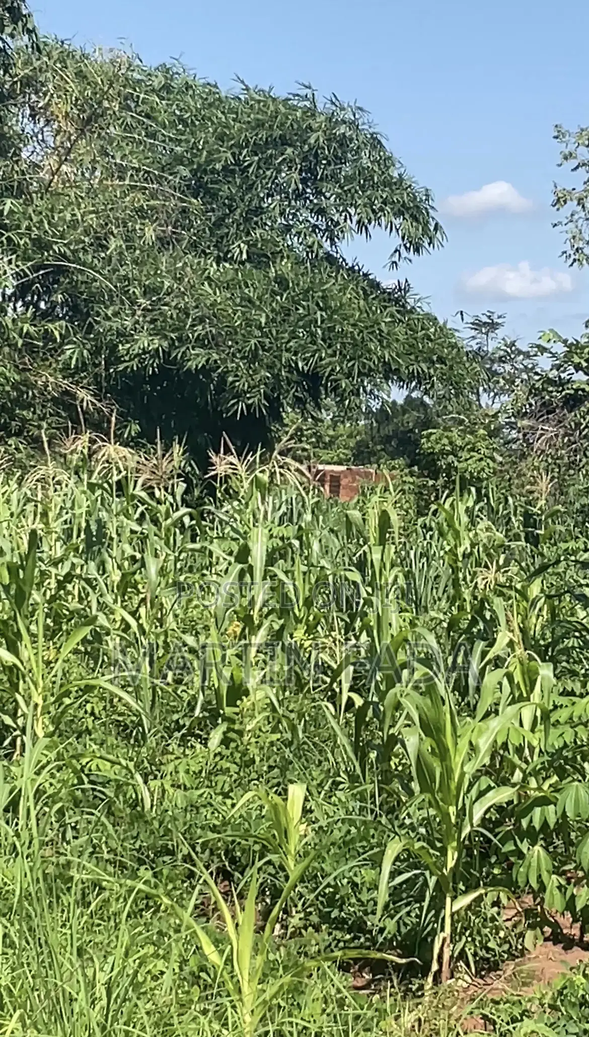 Land for Sell