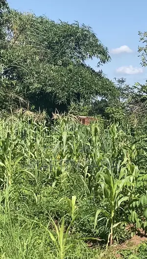 Land for Sell