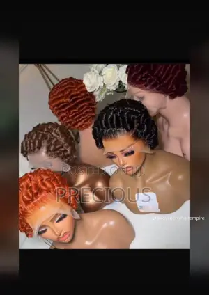 Full Frontal Tiwa Wig Available in All Colors