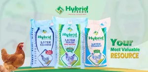Animal Feed
