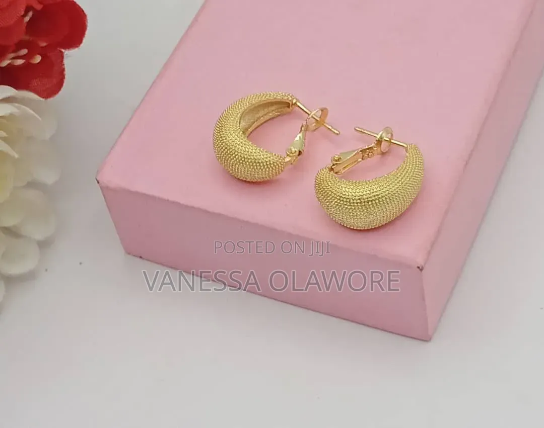 Earrings Small Hoops
