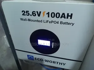 2.5kwh 24v Eco Worthy Lithium Ion Battery