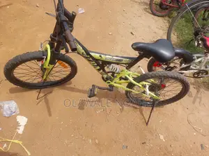 Bicycle Children