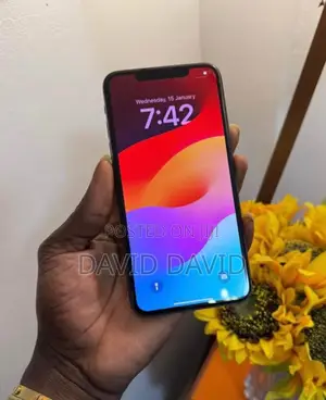 Apple iPhone 11 Pro Max 256 GB Gray