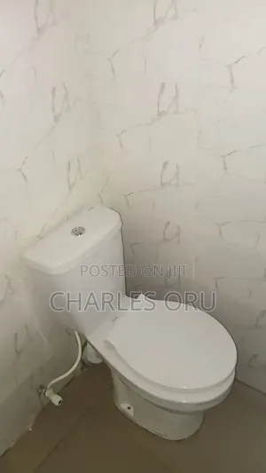 Mini Flat in Lagos Island / Lagos Island for rent