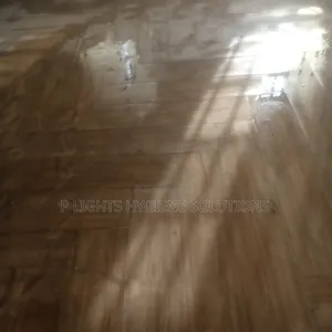 A Professional Cleaning Services