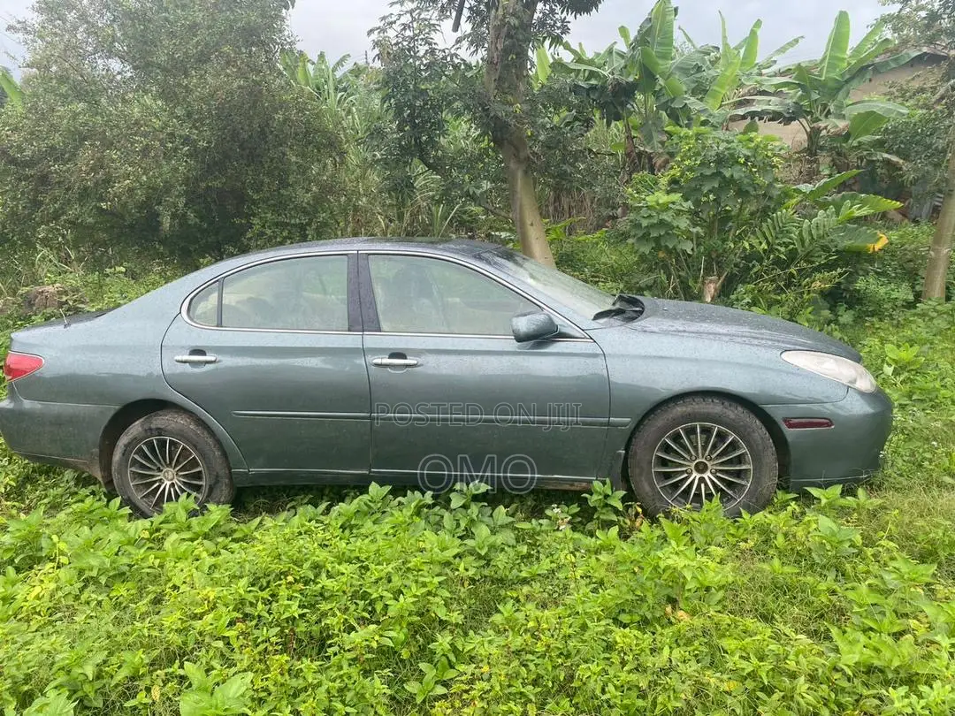 Lexus ES 350 2007 Gray