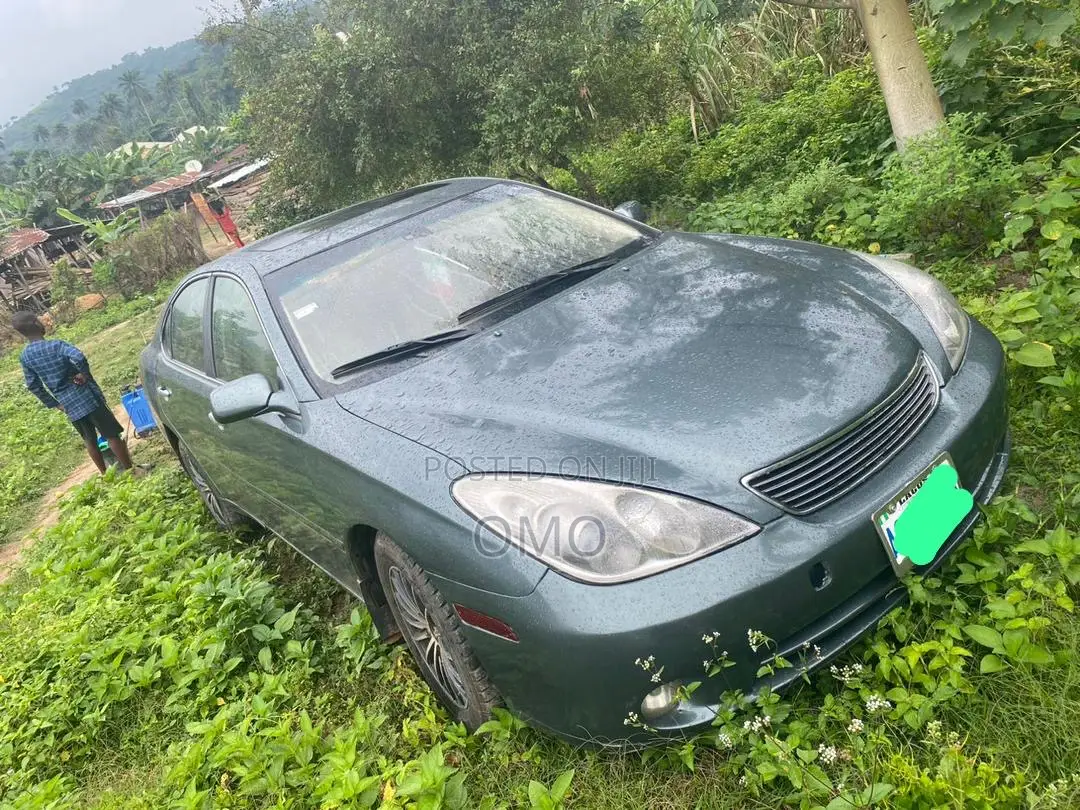 Lexus ES 350 2007 Gray