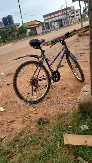 Tokunbo Bicycle