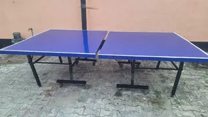 Standard Waterproof Table Tennis Board