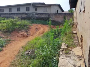 A Well Develop One and a Half Plot of Land for Sale