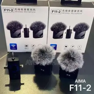 F11_2 Microphone