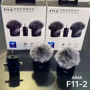 F11_2 Microphone