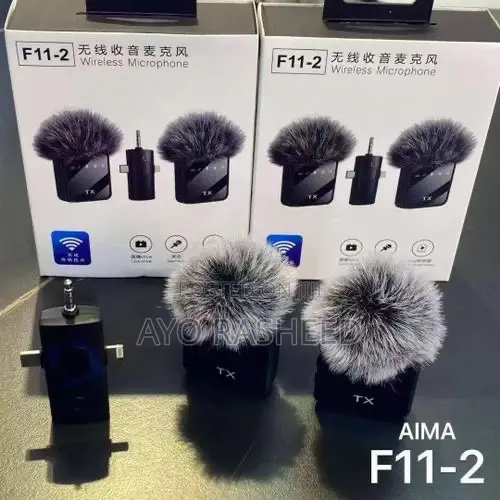 F11_2 Microphone