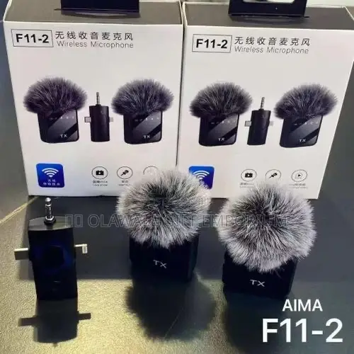 F11_2 Microphone