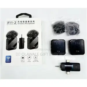 F11_2 Microphone
