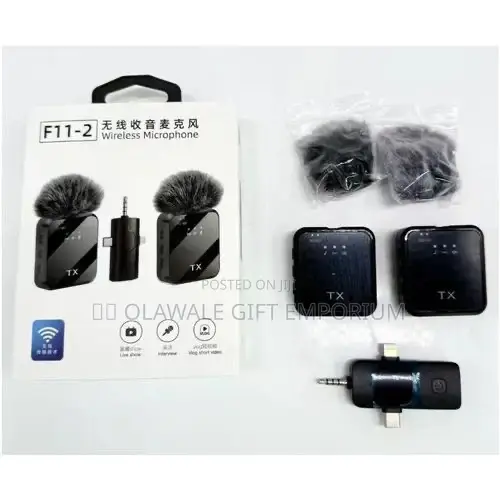 F11_2 Microphone