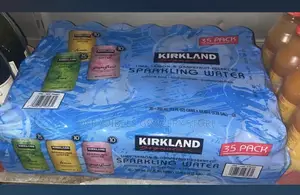 Kirkland Sparkling Flavored Water