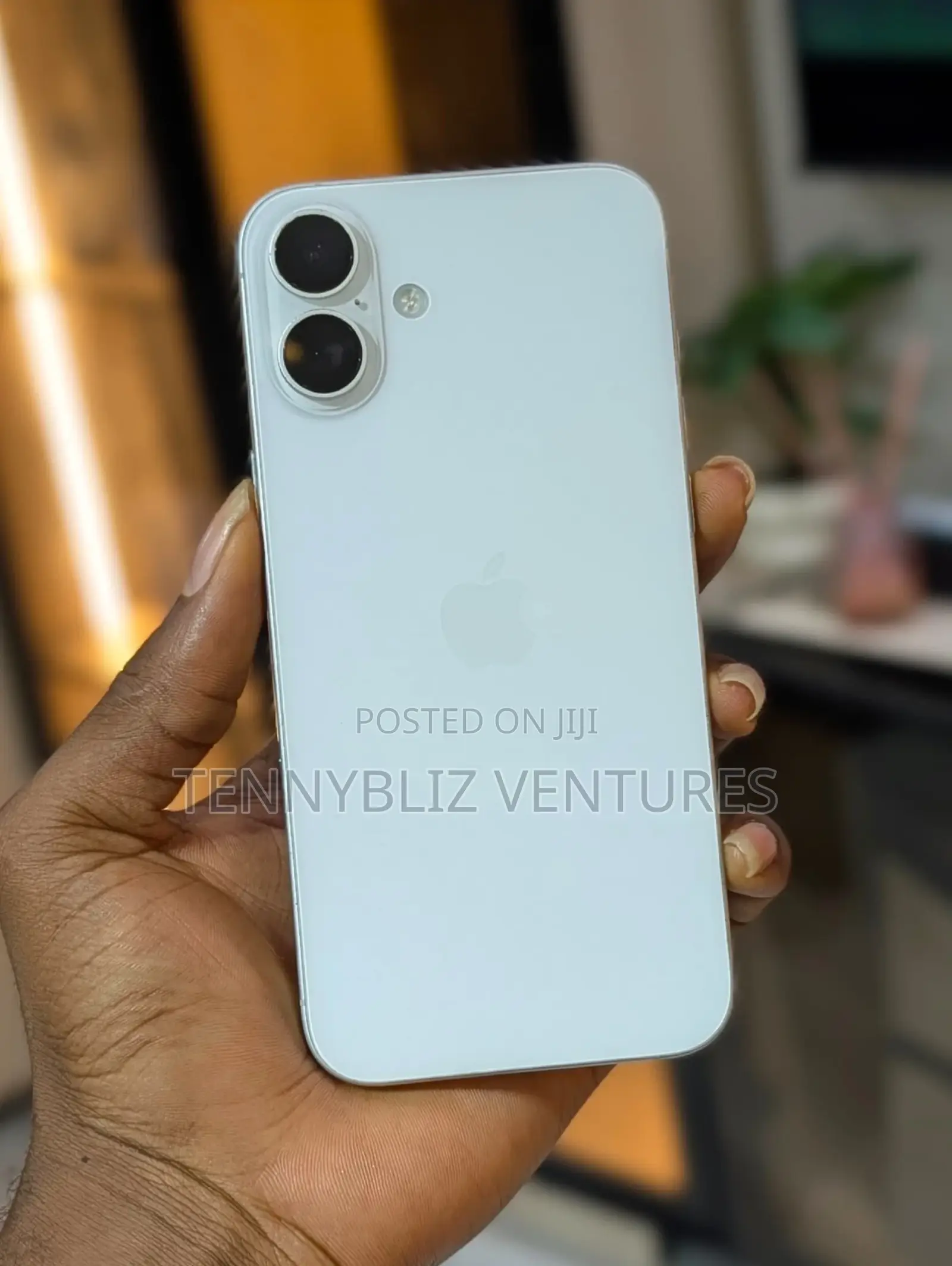 Apple iPhone 16 Plus 256 GB