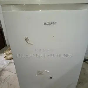 Exquisite Standing Fceezer
