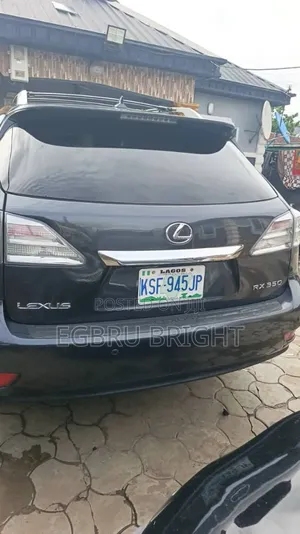 Lexus RX 2010 Gray