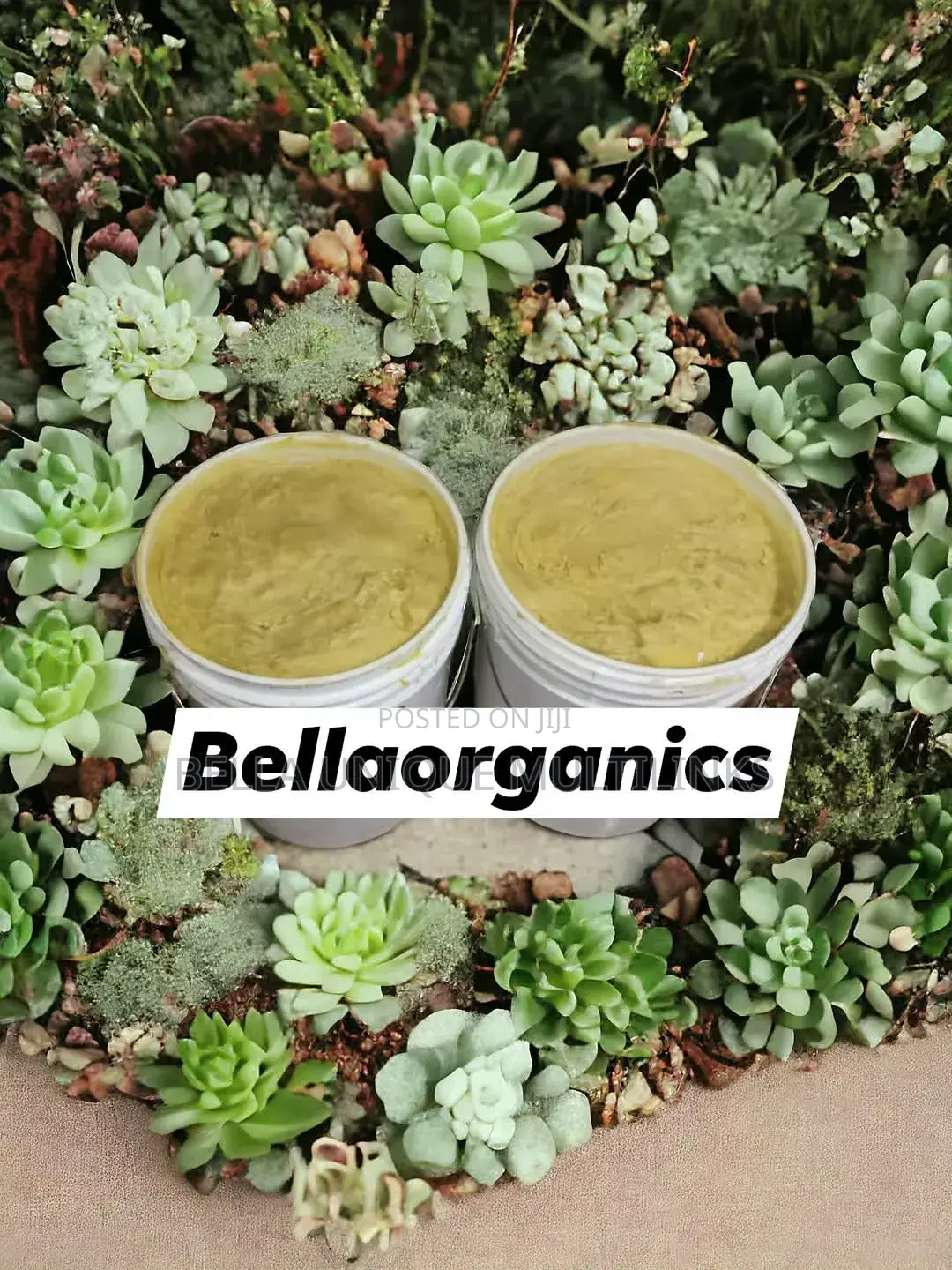 Raw Grade a Shea Butter