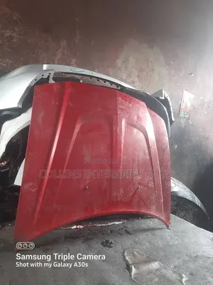 Bonnet Dodge Charger 2012