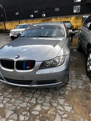 BMW 320i 2010 Gray