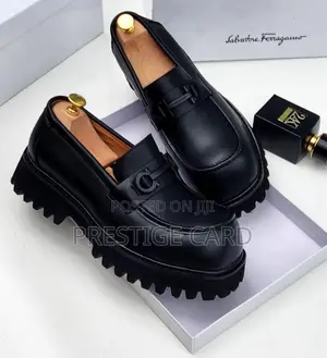 Fully Boxed Ferragamo Shoe