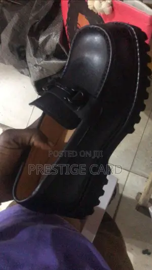 Fully Boxed Ferragamo Shoe