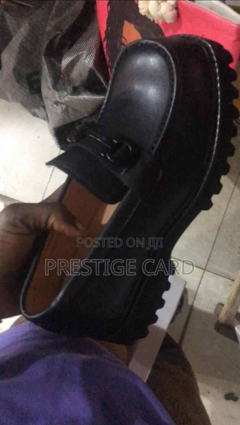 Fully Boxed Ferragamo Shoe