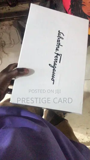 Fully Boxed Ferragamo Shoe