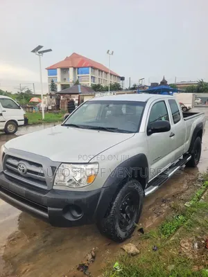 Toyota Tacoma 2010 Silver