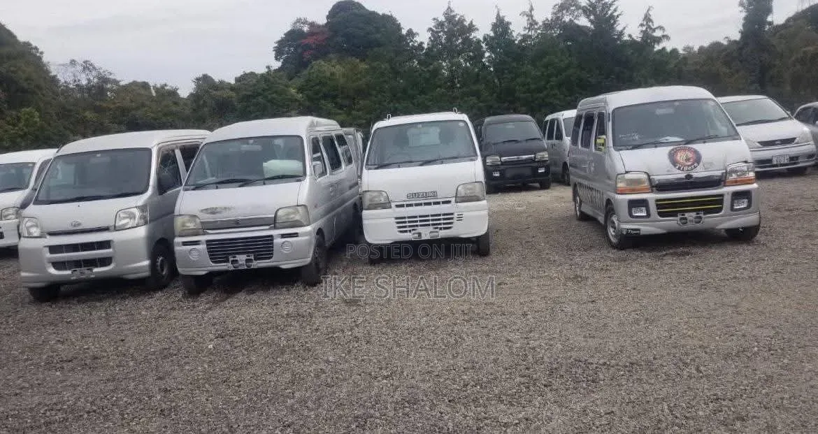 Suzuki Every 2010 Silver