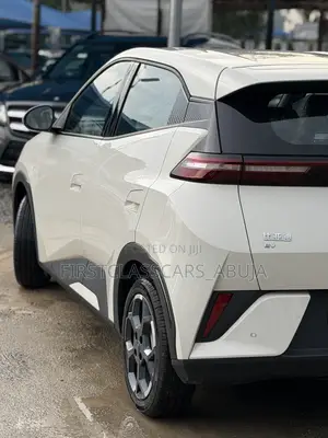 New BYD Seagull 2025 Gray