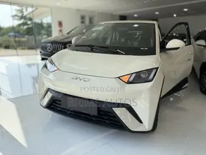 New BYD Seagull 2025 Off white