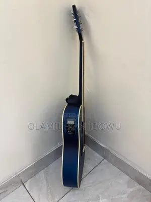 Semi-Acoustic Guitar [With Free Capo]