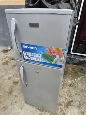 118 Skyrun Double Door Fridge