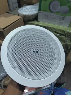 30watts Darts Celling Speaker With Woofers