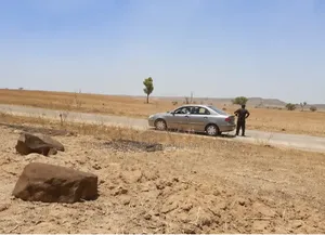 100 Hectares