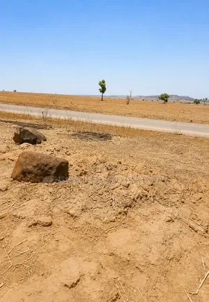30 Hectares